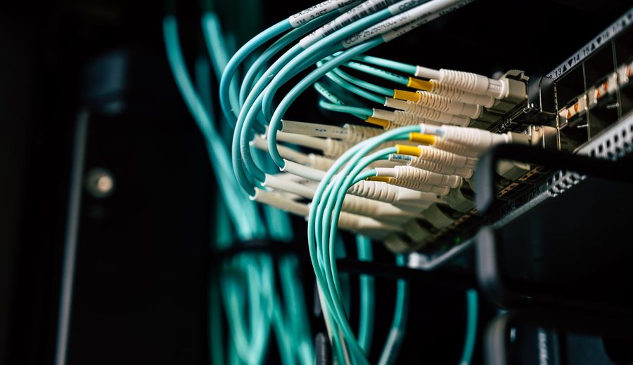 Network cables patched into a rack switch